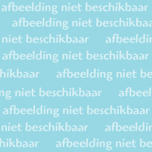 Hendrik de Vroomestraat 63, 8331 CE Steenwijk, Nederland