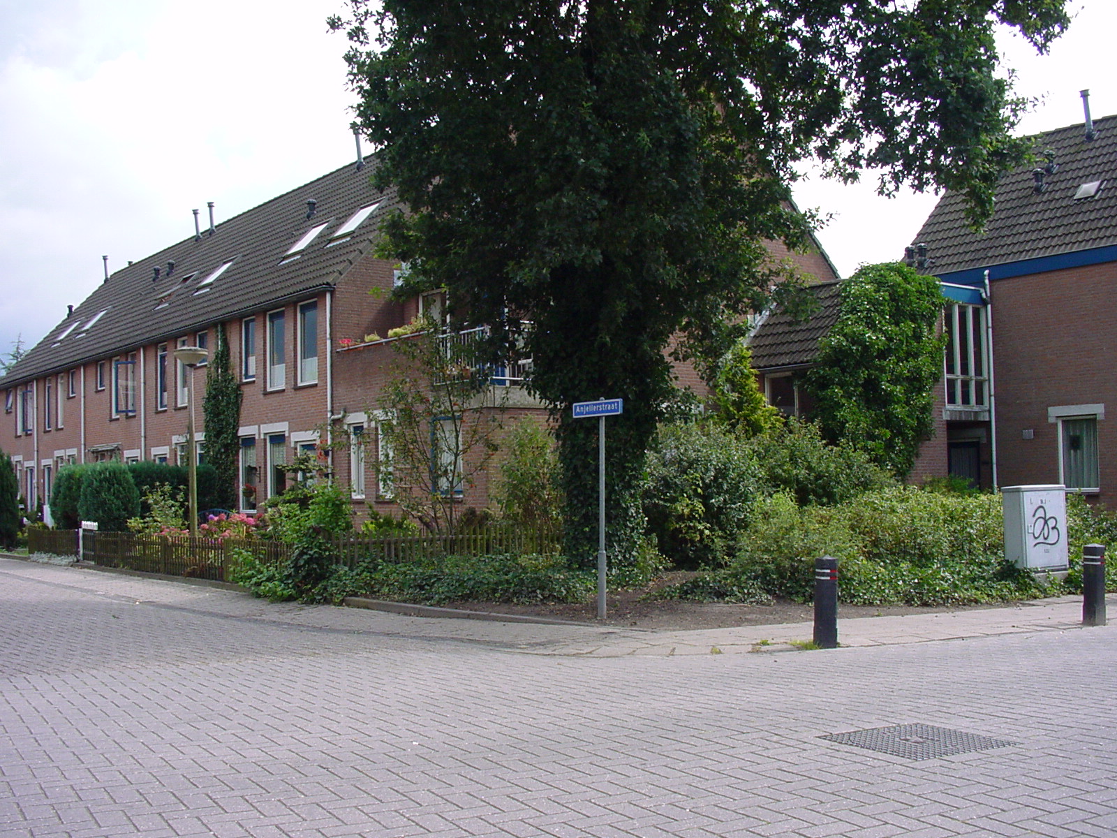 Anjelierstraat 3, 8331 WB Steenwijk, Nederland