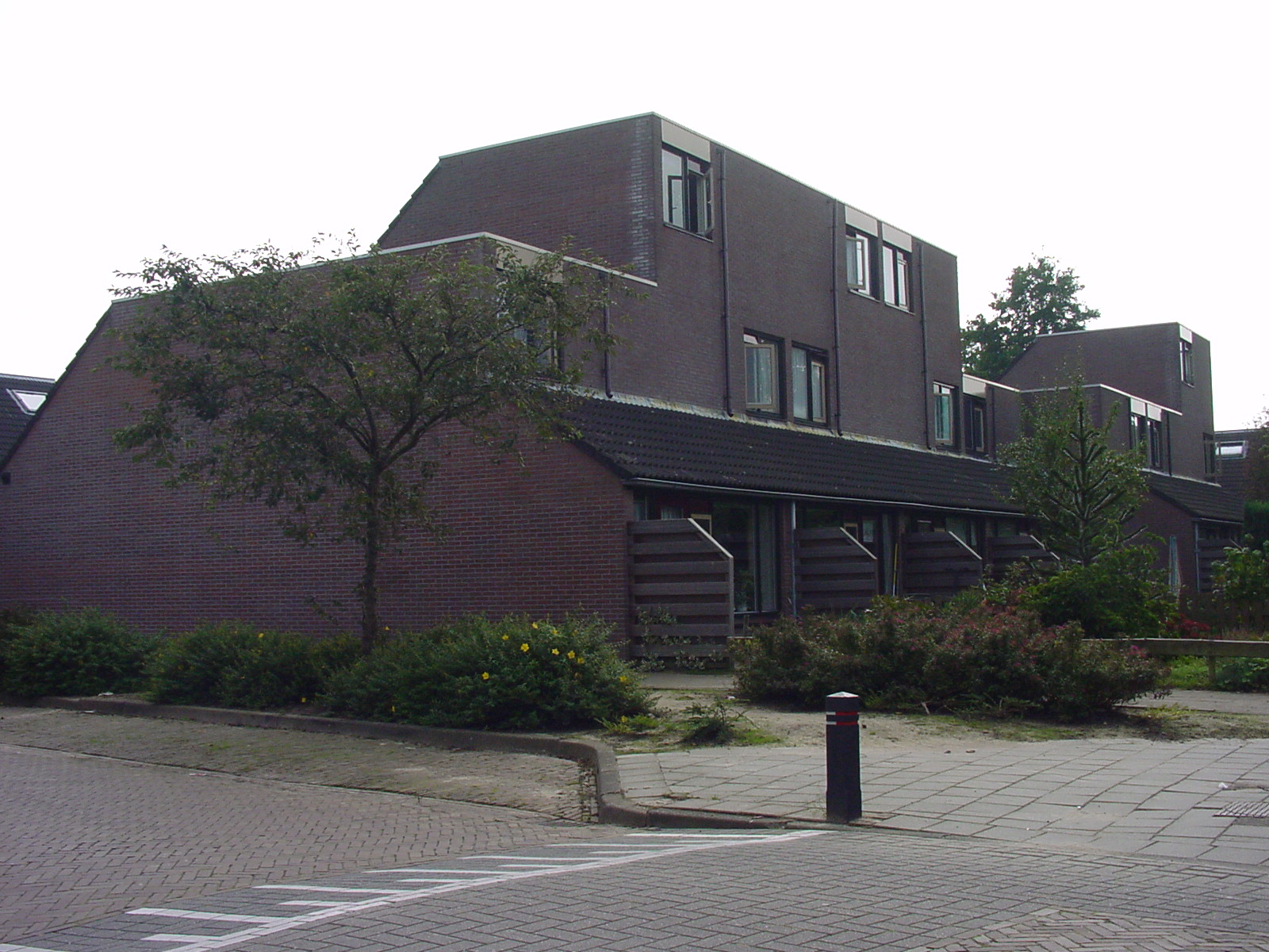 Tulpstraat 49, 8331 ML Steenwijk, Nederland