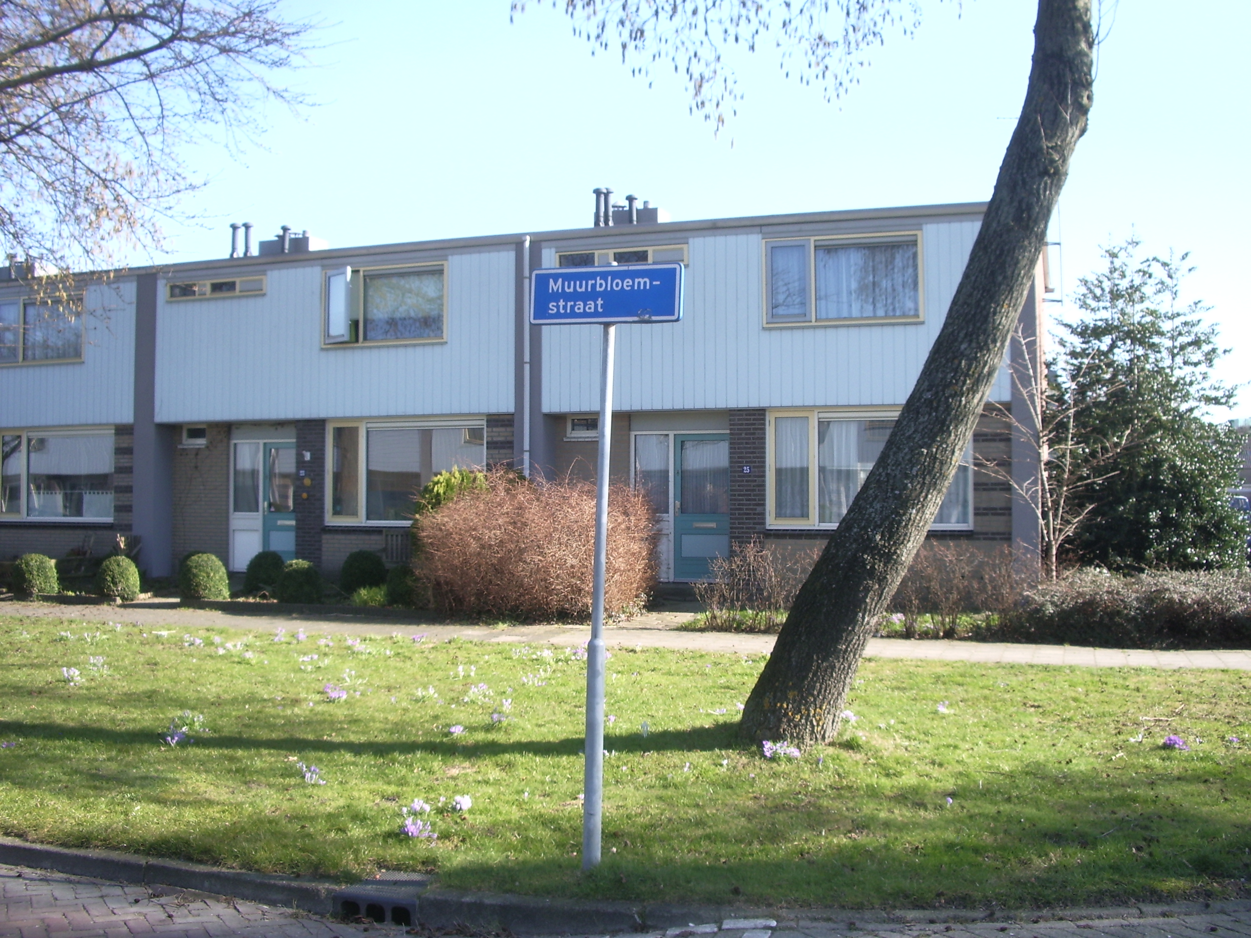 Muurbloemstraat 25, 7906 PS Hoogeveen, Nederland