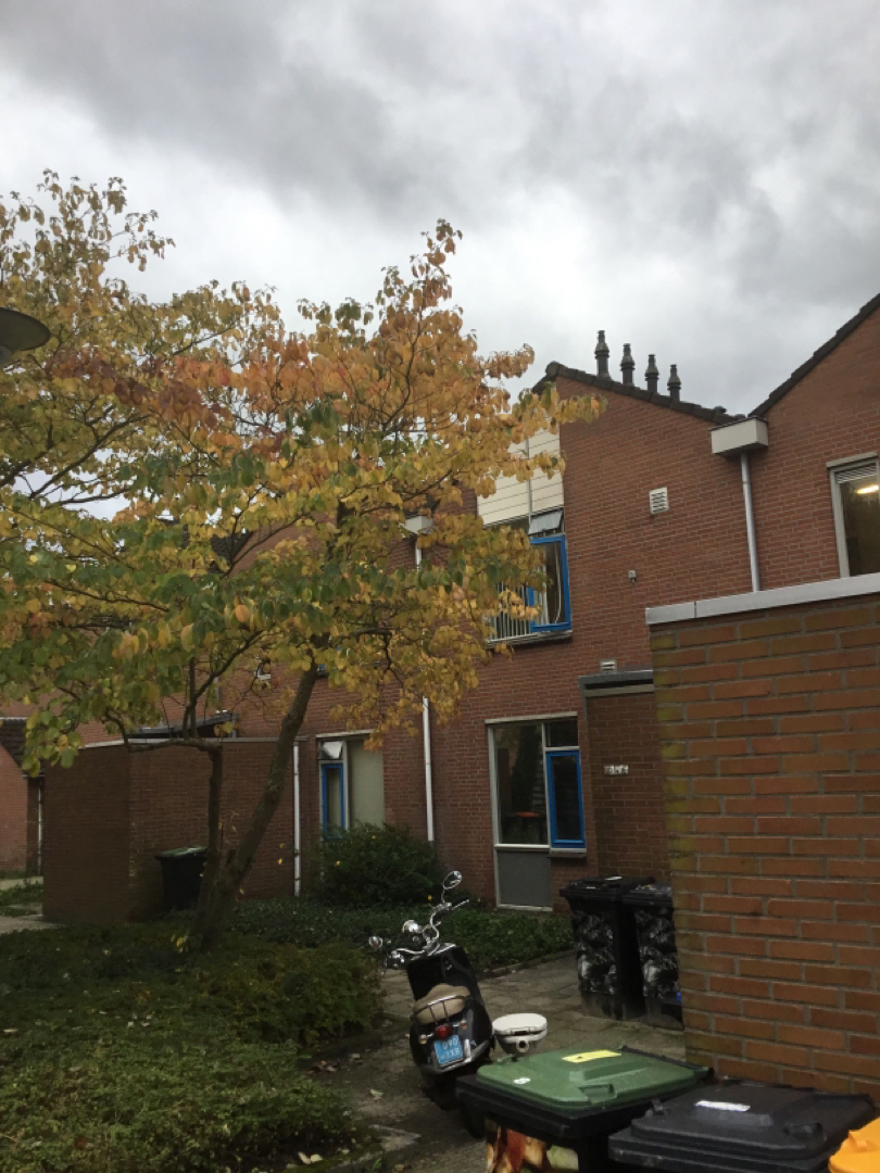 Wendakker 16, 9407 BK Assen, Nederland