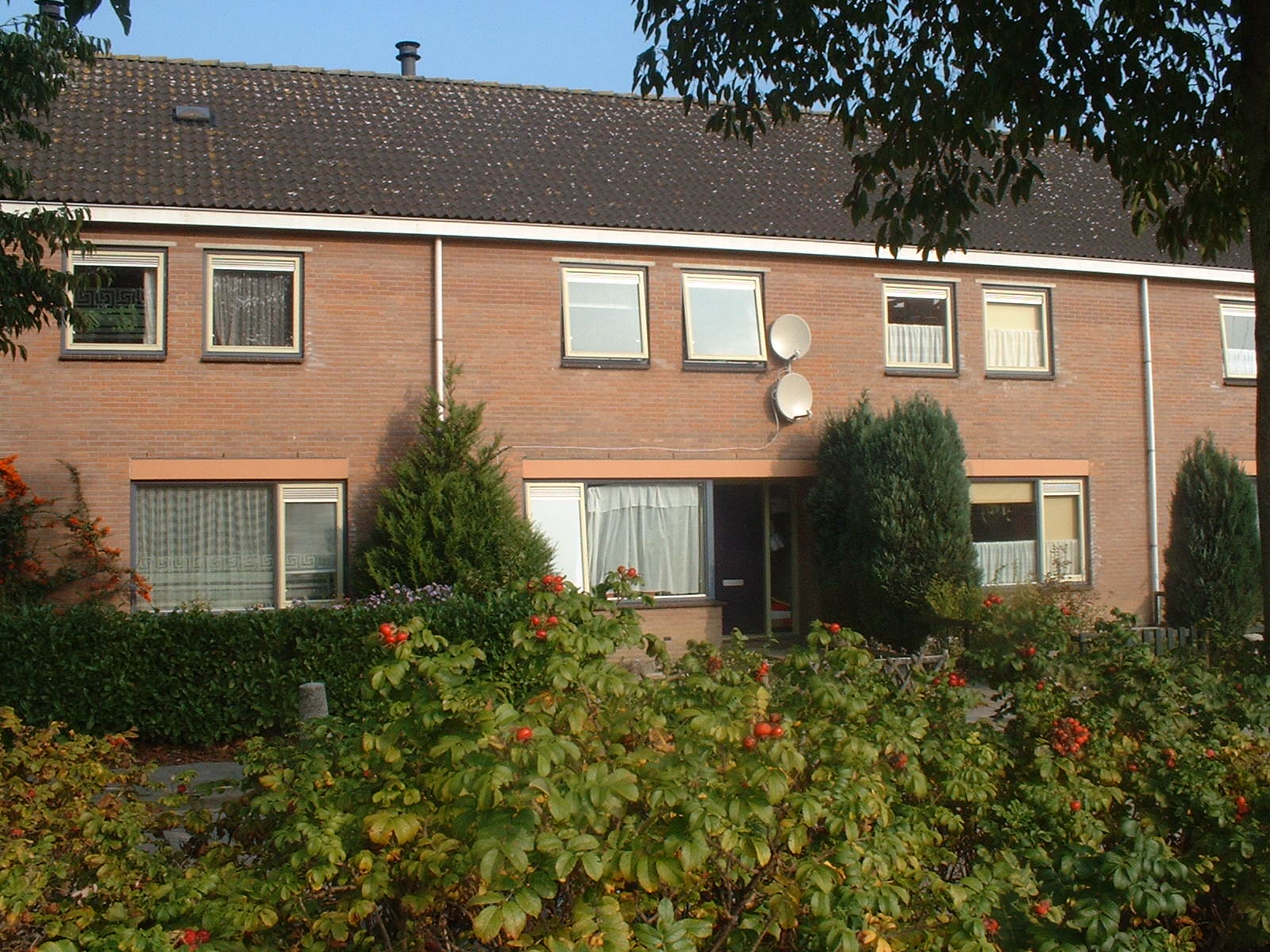 Verlaatseweg 54, 8331 PD Steenwijk, Nederland