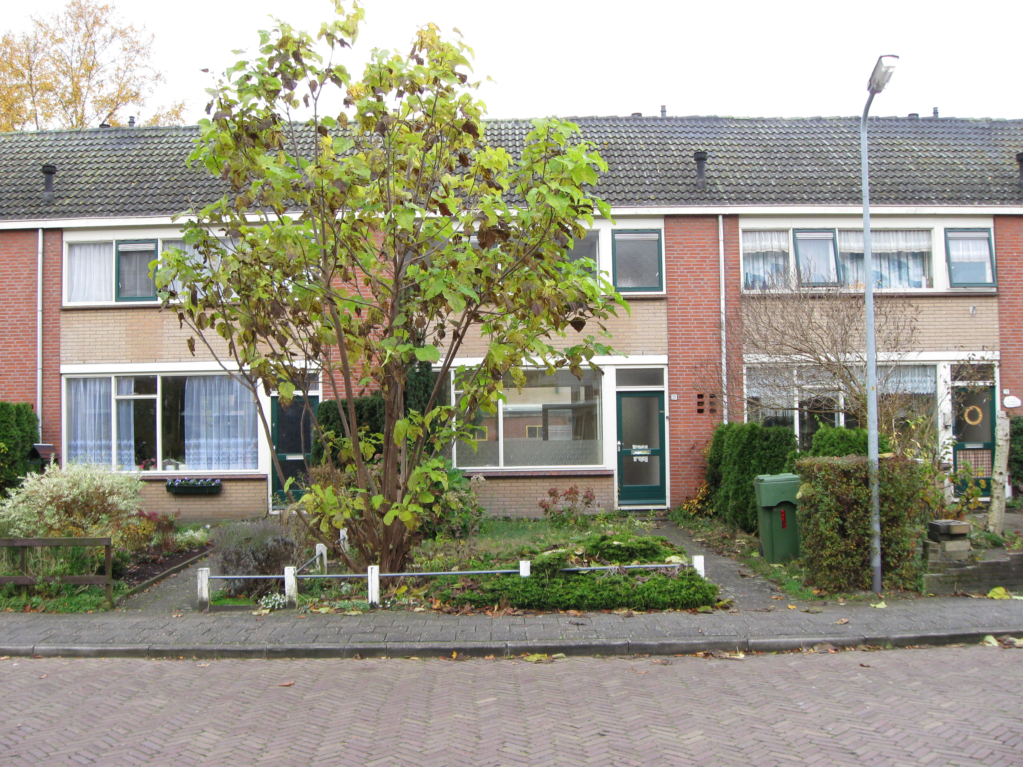 B. Van der Helststraat 17