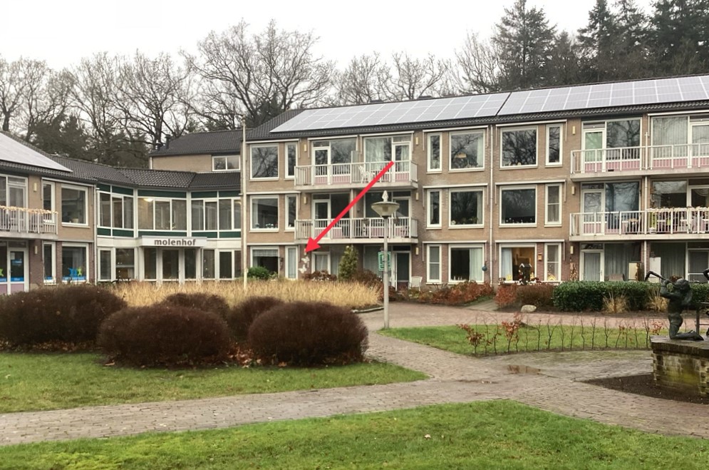 Molenhof 4, 7921 VT Zuidwolde, Nederland