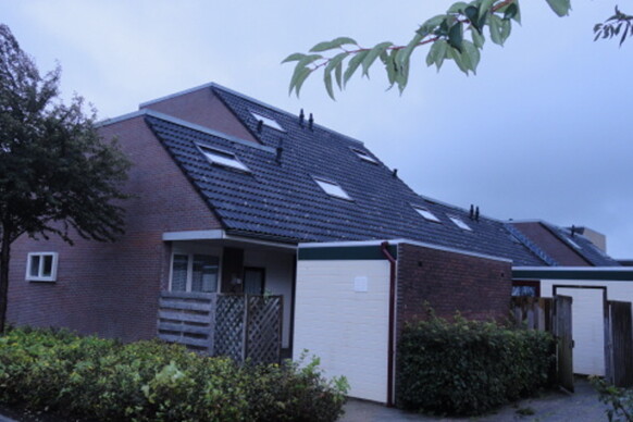 Tulpstraat 33