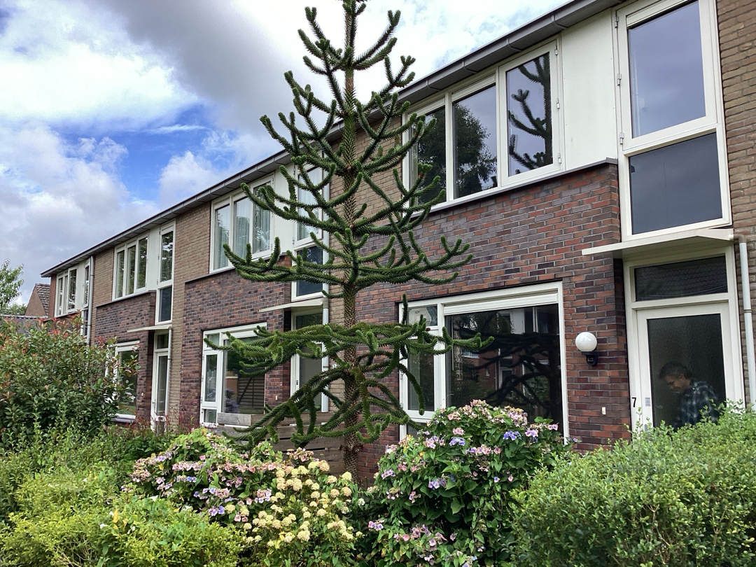 Terraced house for rent: Gentiaanstraat 7, Vredeveld Zuid Assen