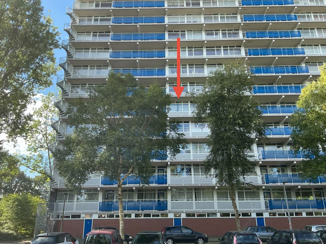Apartment for rent: Speenkruidstraat 77, Vredeveld Zuid Assen