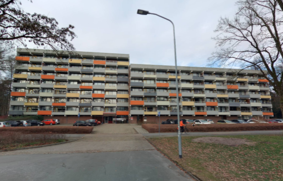 Apartment for rent: Dingspellaan 139, Angelslo Emmen